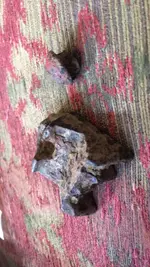IMG_5466[1].webp