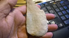 shell adz 2.webp