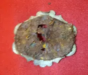 20170313_190957.webp 20170313_190957.webp