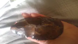20170430_120141.webp