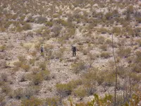 DSCN0413.webp