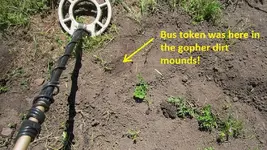 Bus Stop 4-29-17 004.webp