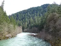 Mott bridge1.webp