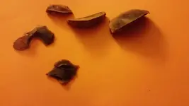 20170313_214907.webp