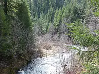 Copeland creek.webp