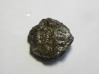 DSCN1661.webp