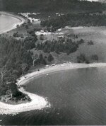 Oak Island - trees 1931.jpg