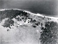 Oak Island - trees 1935.jpg