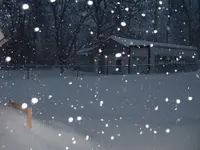 DSCF0002.webp