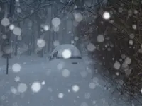 DSCF0003.webp