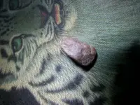 20170320_204336[1].webp