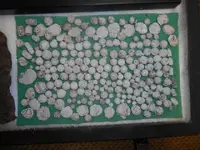 DSCN0207.webp