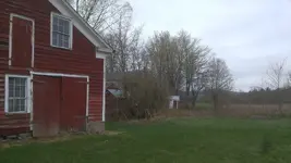 Back of the Farm.webp