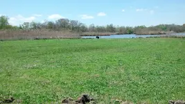 IMG_20170418_135103_655.webp