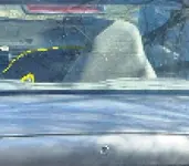 DSCF0001.webp