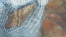 1492878207710-1314363823.webp