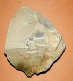 DSCN5698.webp