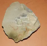 DSCN5699.webp