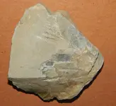 DSCN5700.webp