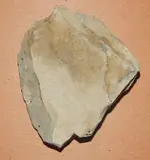 DSCN5701.webp