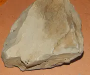 DSCN5702.webp