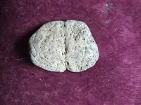 DSCF1789.webp