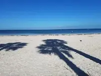 Beach 041417.webp