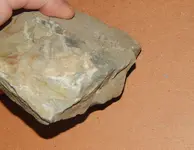 DSCN5705.webp