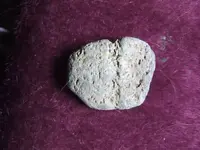 DSCF1790.webp