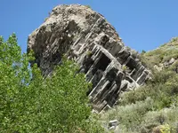 DSCN4293.webp