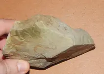 DSCN5706.webp