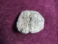 DSCF1791.webp