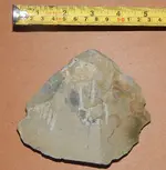DSCN5708.webp