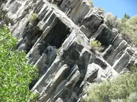 DSCN4292.webp