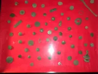 DSCN1680.webp