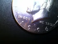 5.webp