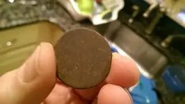 IMAG1059.webp