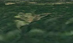 Creek Slide.webp Creek Slide.webp