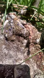 IMG_20170501_132005802_HDR (2).webp