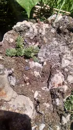 IMG_20170501_131954227_HDR (1).webp