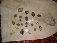 SDC12218.webp