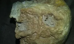 20170508_192754.webp