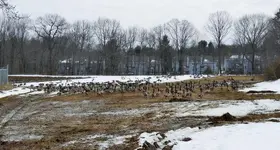 K1600_DSCN1441.webp