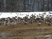 K1600_DSCN1442.webp