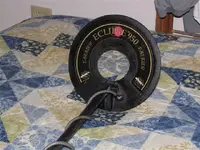 IMG_6431.webp