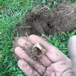 ImageUploadedByTreasureNet.com1492950653.294100.webp