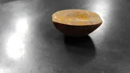 artifact20170405_203523.webp