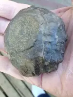 rock3.webp