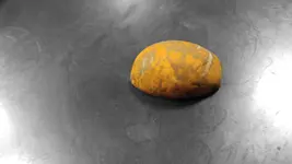 artifact220170405_203536.webp artifact220170405_203536.webp