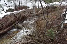 DSCF1365.webp